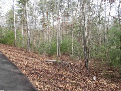 Homes in Whispering Falls, Pickens