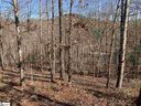 7 Mountain Ash Way sold home in Marietta, SC