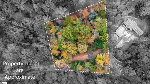 524 Caledonia Loop