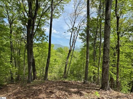 100 Wood Violet Trail active home in The Cliffs At Mountain Park, Marietta, SC