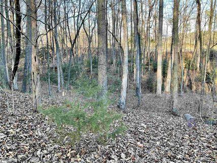 110 Laurel Valley Way sold home in The Woodlands At Cherokee Valley, Travelers Rest, SC