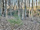110 Laurel Valley Way sold home in Travelers Rest, SC