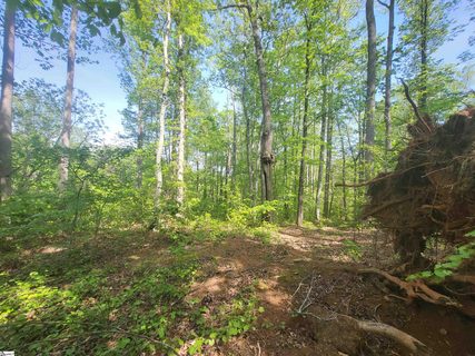 121 Laurel Valley Way sold home in The Woodlands At Cherokee Valley, Travelers Rest, SC