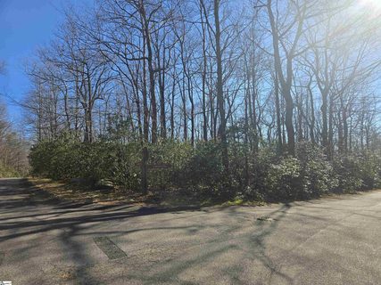 00 Birchbend active lot in Cliff Ridge At Caesars Head, Cleveland, SC