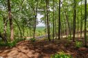 167 Cherokee Rose Trail sold home in Marietta, SC