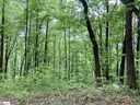 1334 Panther Park Trail sold home in Travelers Rest, SC