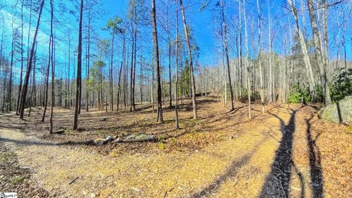 1100 Panther Park Trail active home in Cliffs Valley, Travelers Rest, SC