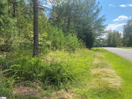203 W Peninsula Drive active lot in Lake Rabon Estates, Laurens, SC