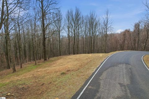 7 Day Lily Road