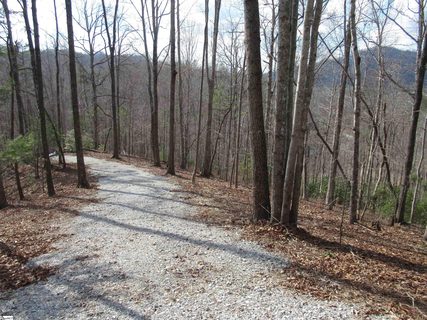 Belvoir Drive Lots 31 and 32 active home in Gauley Falls, Pickens, SC