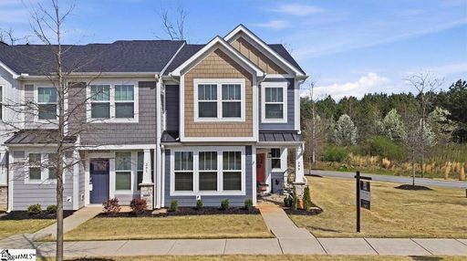 Homes in Trailside At Drayton Mills, Spartanburg