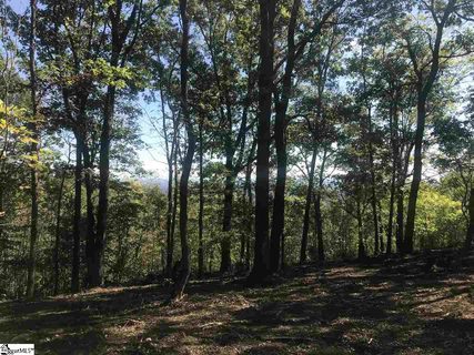143 Raptor Way active home in The Cliffs At Glassy, Landrum, SC