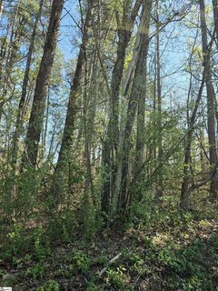 102 Pine Drive sold lot in Peace Haven, Taylors, SC