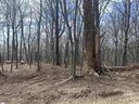 00 Flintrock Knob Lane sold home in Landrum, SC