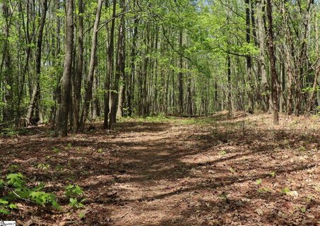 23 Belk Road active land listing in Burban Creek Plantation, Travelers Rest, SC