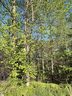 531 Scenic Oak Drive sold home in Moore, SC