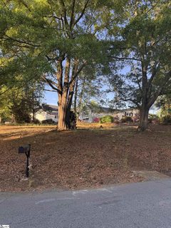 Homes in Parkins Mill, Greenville
