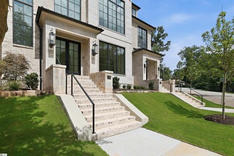 Homes in Downtown, Greenville