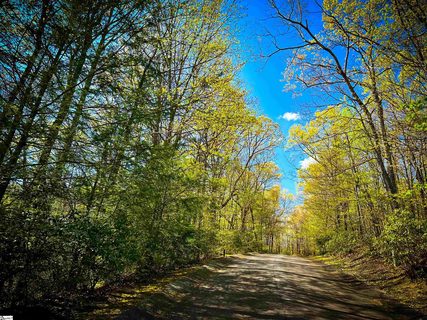 618 Cliff Ridge Drive active lot in Cliff Ridge At Caesars Head, Cleveland, SC