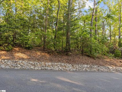 5 Rhone Valley Circle active home in Crescent Mountain Vineyard, Travelers Rest, SC