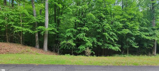 00 Camellia Street active lot in Chickasaw Point, Westminster, SC