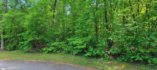 00 Lynden Loop active home in Foxwood Hills/Mt Bay Estates, Westminster, SC