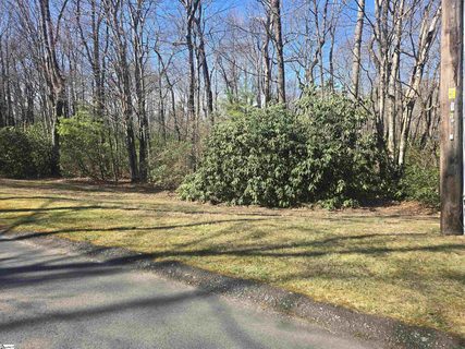 319 Cliff Ridge Drive active lot in Cliff Ridge At Caesars Head, Cleveland, SC