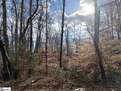 128 Willow Pond Lane active lot in Willow Pond, Piedmont, SC