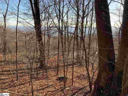 Stonesthrow Drive Lot 130 active home in The Cliffs At Glassy, Landrum, SC
