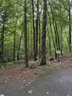 125 Cottage Side Trail active home in Cliffs Valley, Travelers Rest, SC