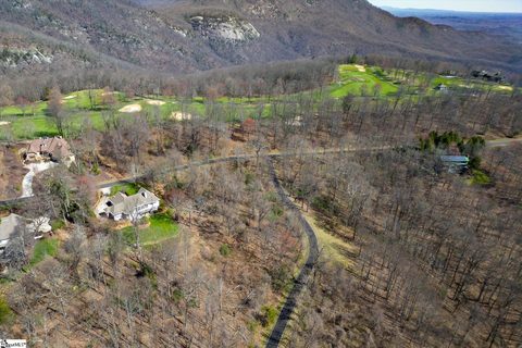68 May Apple Way active home in The Cliffs At Glassy, Landrum, SC