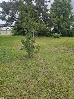 201/203 Dillon Drive active lot in Blossom Meadows, Clinton, SC