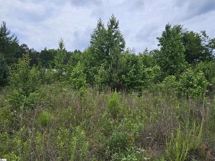 144 Colleton Lane active lot in Blossom Meadows, Clinton, SC