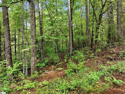 231 Cherokee Hills Drive active lot in Cherokee Hills, Pickens, SC