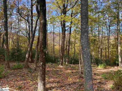 1526 Panther Park Trail active home in Cliffs Valley, Travelers Rest, SC