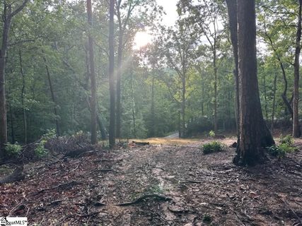 00 E Lakeshore Drive active lot in Lake Lanier, Landrum, SC