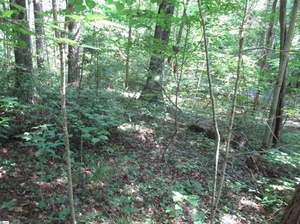 00 Gauley Falls Road Lot 13 Gauley Falls active home in Gauley Falls, Pickens, SC
