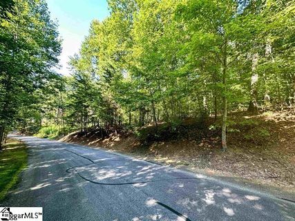 235 Luberon Lane active home in Crescent Mountain Vineyard, Travelers Rest, SC