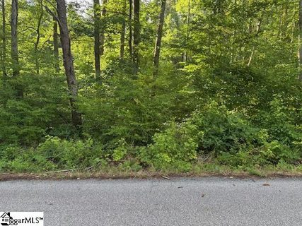 0 Lockhart Drive active land listing in Lake Lanier, Landrum, SC