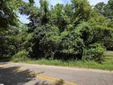 318 Meadowbrook Avenue sold home in Woodruff, SC