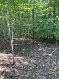 2296/2297 Laurel Drive active land listing in Chickasaw Point, Westminster, SC
