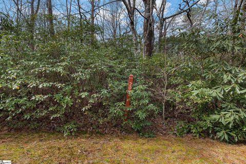 204 Conifer Falls Road active lot in Cliff Ridge At Caesars Head, Cleveland, SC