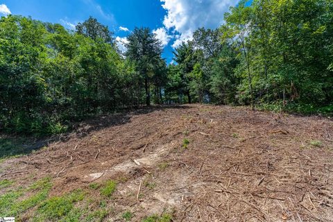 229 May Apple Way active home in The Cliffs At Glassy, Landrum, SC