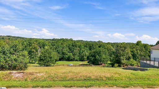 Homes in The Meadows, Easley
