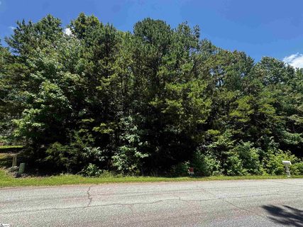 110 Peninsula Drive active lot in Lake Rabon Estates, Laurens, SC