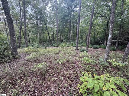 S46 Cliffs Falls Parkway active lot in Cliffs At Keowee Falls North, Salem, SC