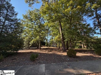 124 Conestee Avenue active lot in Augusta Road, Greenville, SC