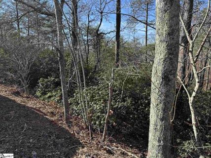 00 Caledonia Road active lot in Lake Lanier, Landrum, SC