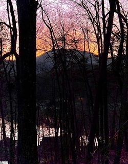 6 Glenolden Drive active lot in Lake Lanier, Landrum, SC