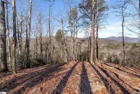 198 Wood Violet Trail active lot in The Cliffs At Mountain Park, Marietta, SC